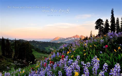 Isaiah 40:31 Wallpaper - Free Landscapes Desktop Backgrounds