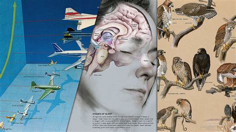 100 Years Of Infographics From National Geographic