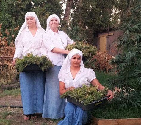 Meet The Sisters Of The Valley: The Nuns Devoted To Marijuana