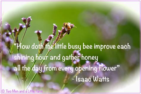 Little Bee Quotes. QuotesGram