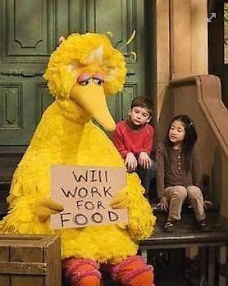 Big Bird Memes Go Viral Picture | Big Bird Memes Go Viral - ABC News