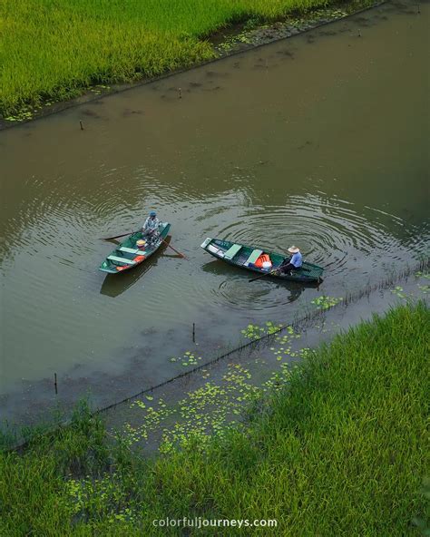 Tam Coc Boat Tour: Best Viewpoint, Prices, & Tips