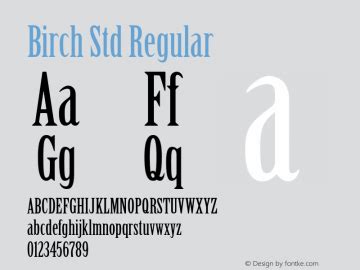 Birch Std Font,BirchStd Font|BirchStd Version 2.067;PS 002.000;hotconv ...