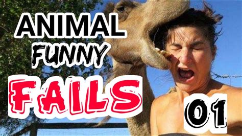 Funny Animal Fails Compilation 01 - YouTube