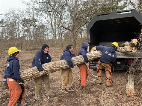 AmeriCorps at CF – invasive trees & catbrier removal 25MAR2024 (10 ...