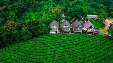 Zero Degree Tea Plantation View Cottage Munnar - Trip2kerala