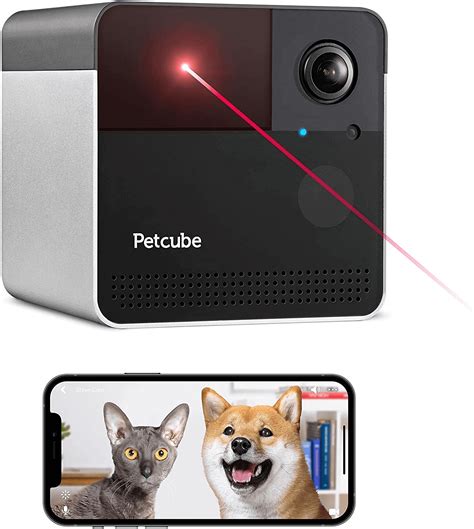 Best Pet Monitoring Cameras - Petdeed