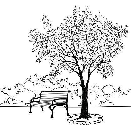 Tree And Bench In Park. Doodle Garden Landscape. Nature Background ...