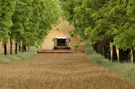 Agroforestry - Regenerative Food and Farming