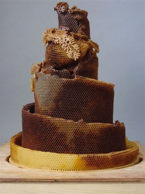 These Honeycomb Sculptures Made by Bees Are Simply Majestic | Bee art, Bee, Sculptures