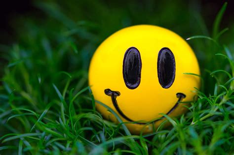 yellow emoji ball #grass #macro #smile #smiley #1080P #wallpaper # ...