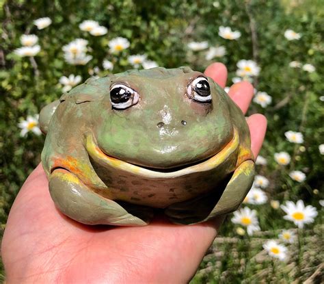 Handmade Fat Chubby Green African Bullfrog Figurine Custom - Etsy