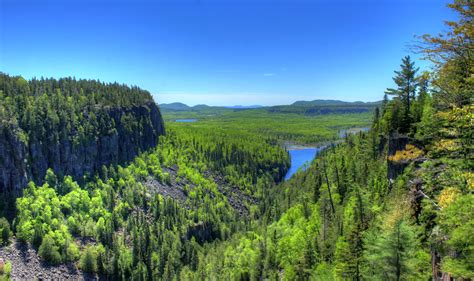 PARTNER POST: A Fresh Look at Canada's Virgin Forests | Global Forest ...