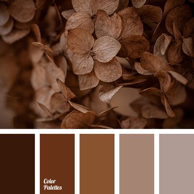 Color Palette #2423 | Color Palette Ideas