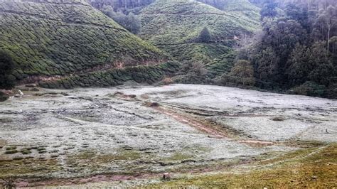 Munnar records season’s lowest temperature at –1 degree Celsius - The Hindu