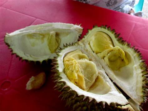 Where to Find the Best Durian in Davao City - Philippine Traveler