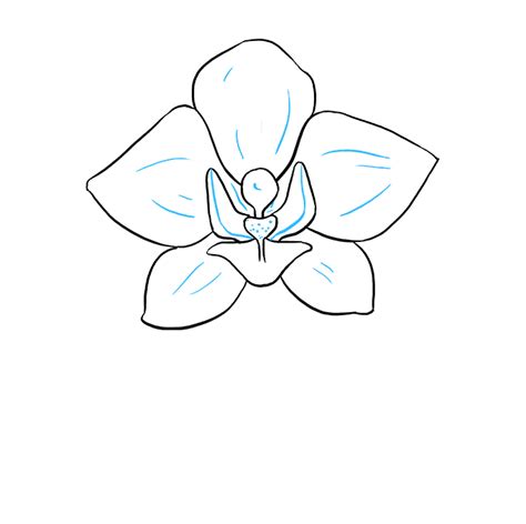 How to Draw a Beautiful Orchid - Really Easy Drawing Tutorial