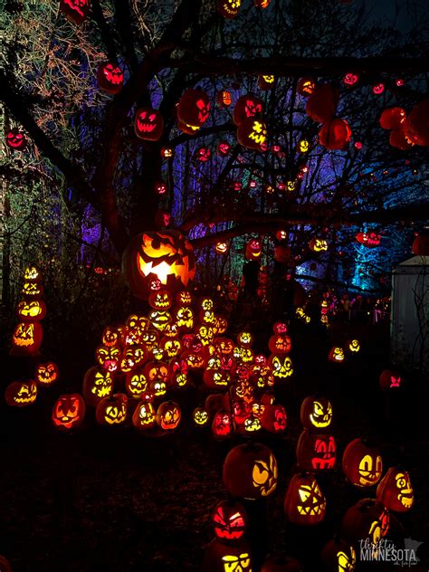 Minnesota Zoo Jack-O-Lantern Spectacular - Thrifty Minnesota