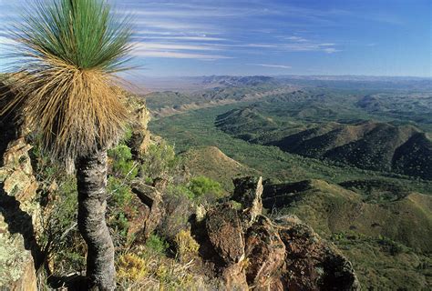 View From The Top Of St. Mary Peak Over The Abc Range, Flinders Ranges, South Australia ...