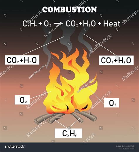 Types Chemical Reactions Combustion Reaction Diagram Stock Vector ...