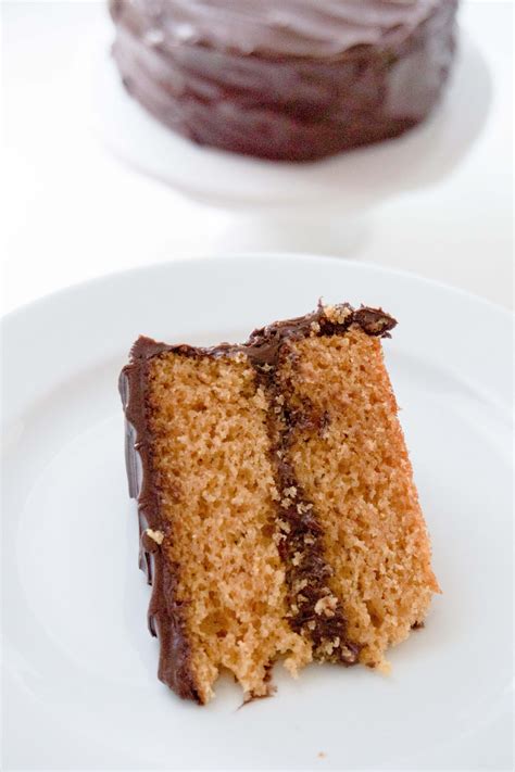 Graham Cracker Cake with Chocolate Frosting | Graham cracker cake ...