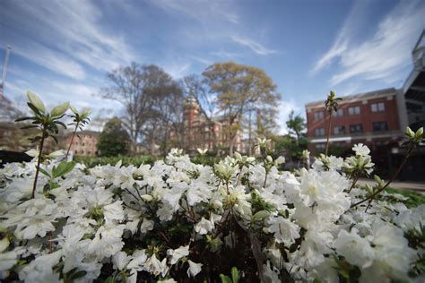 ‘U.S. News & World Report’ Ranks Georgia Tech Graduate Programs Among the Best in the Nation ...