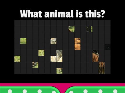 Guess the animals - Image quiz