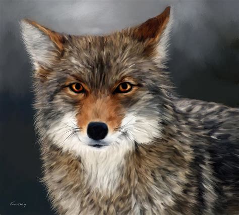 Coyote Painting by Johanne Dauphinais - Pixels