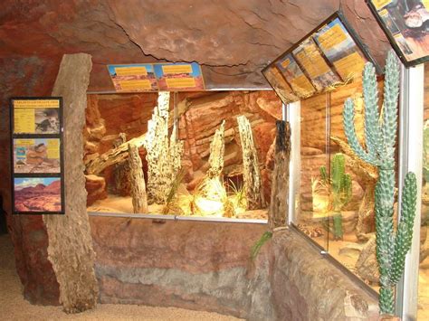 reptile exhibit | Reptile zoo, Reptile house, Reptiles