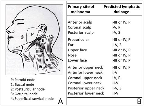 Figure 2 from Sentinel Lymph Node Biopsy for Melanoma and Surgical ...