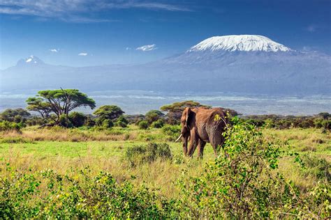 Travel to Kenya - Discover Kenya with Easyvoyage