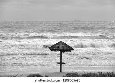 Tiki Umbrella Next Gulf Mexico Stock Photo 1209505693 | Shutterstock