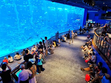 Sentosa Island Aquarium