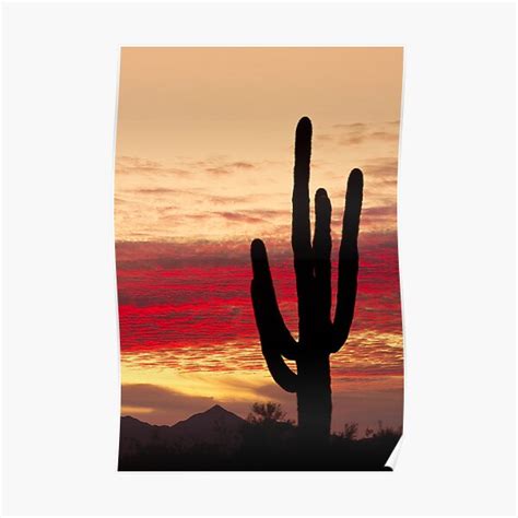 "Tequila Sunrise " Poster by mrbo | Redbubble