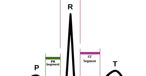 ECG Educator Blog : Basic Electrophysiology