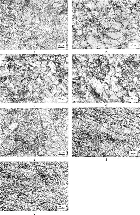 Evolution of austenite microstructure during hot rolling simulation ...