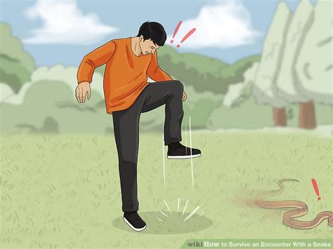 How to Survive an Encounter With a Snake