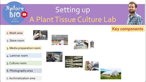 Plant Tissue Culture Laboratory Design Layout