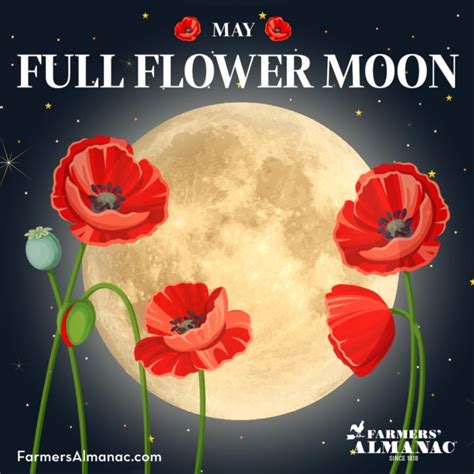 May Full Flower Moon 2024 - Chris Delcine