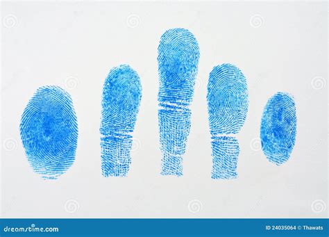 5 Blue fingerprint stock illustration. Illustration of fingerprint ...