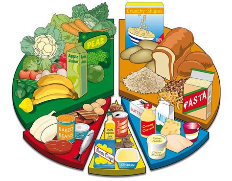 Food Chart « Graphic Design, Photorealistic CGI, Information Graphics, Technical Illustration ...