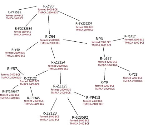 major subclades of the R1a-Z93 Y-DNA haplogroup : IndoEuropean