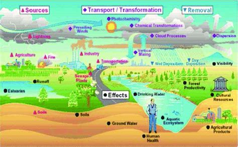 2:-The source of soil contamination. | Download Scientific Diagram