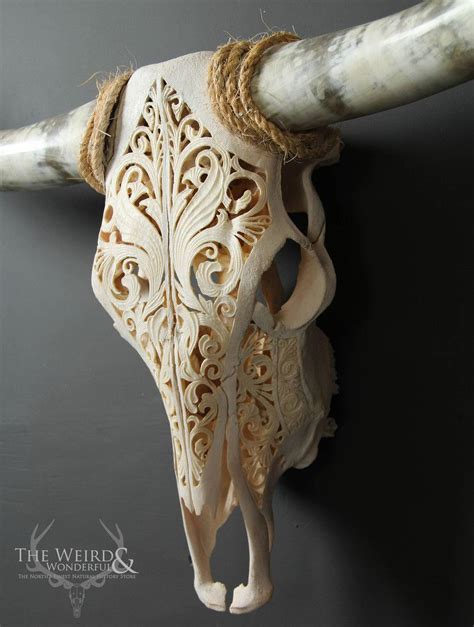 DOBERDOR Carved Texas Longhorn Cow Skull - (Bos taurus) | Cow skull art, Cow skull decor, Cow skull