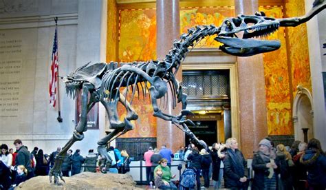 An Incredible New T. Rex Exhibtion Is Coming To New York's Museum Of ...