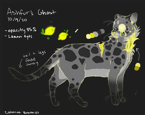 Ashfur's Ghost Reference by CatmintBrownies on DeviantArt