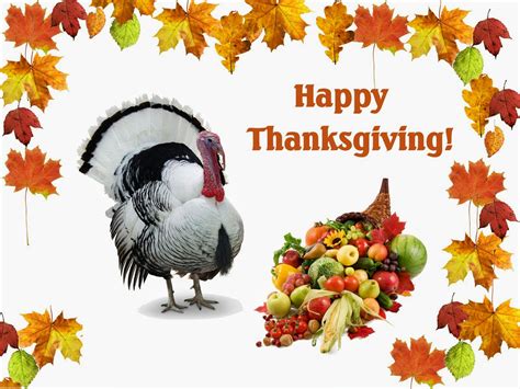 A Collection of Interesting Stuff: Thanksgiving Day Funny Quotes