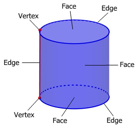 Parts of a Cylinder: Faces, Vertices and Edges - Neurochispas