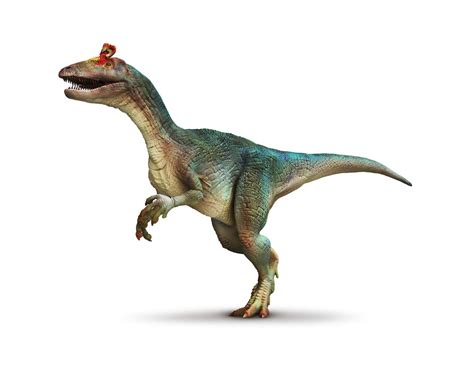 10 Cryolophosaurus Facts - Facts.net