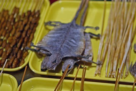 Woman sues American Airlines and Sky Chefs claiming that there was a lizard in her meal ...